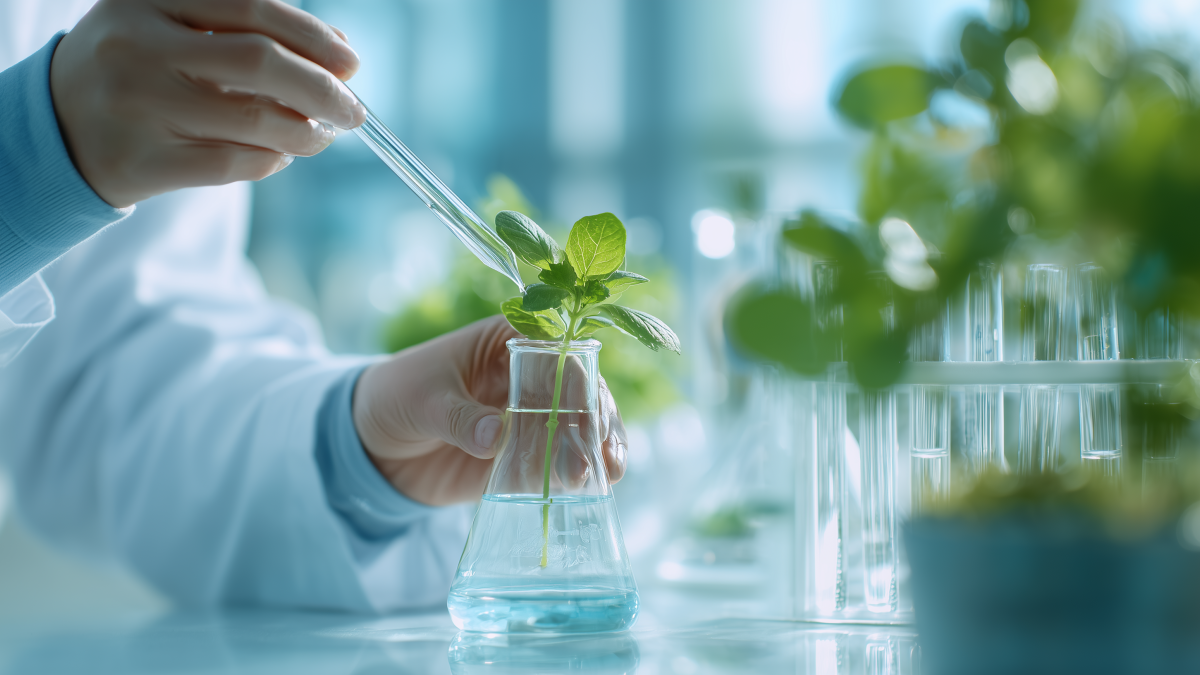 Biotech & Bioprocess
