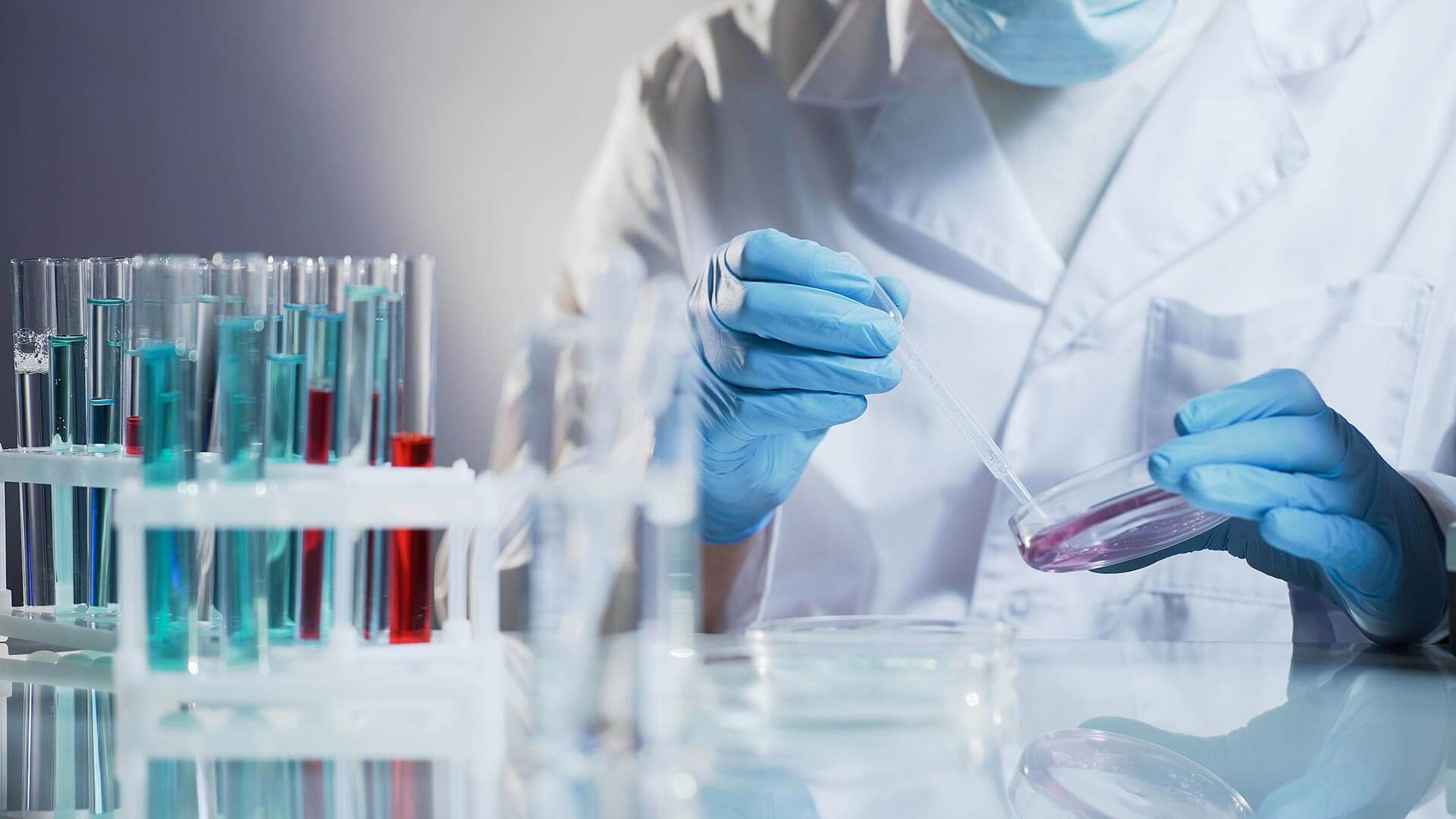 Sifu Product scientific expertise